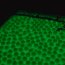 Шары AIMTOP 0,20 (5000 шт) BIO ТРАССЕРА